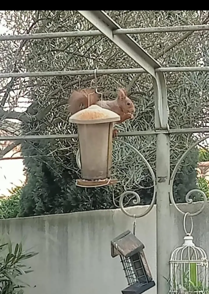 לה תור Petite Maison Avec Jardin Calme דירה