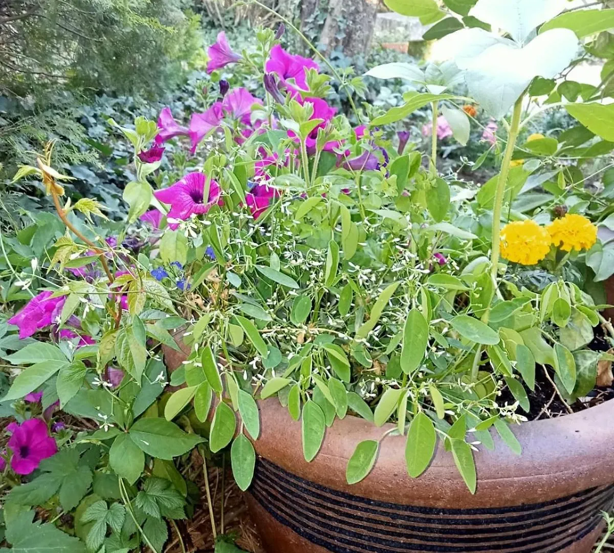 לה תור Petite Maison Avec Jardin Calme צרפת
